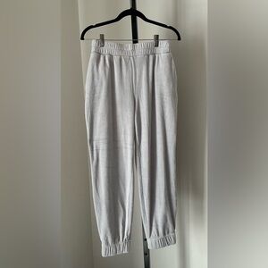🆕 Express | Velour Jogger Pants